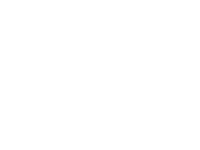 Partner Logo 4