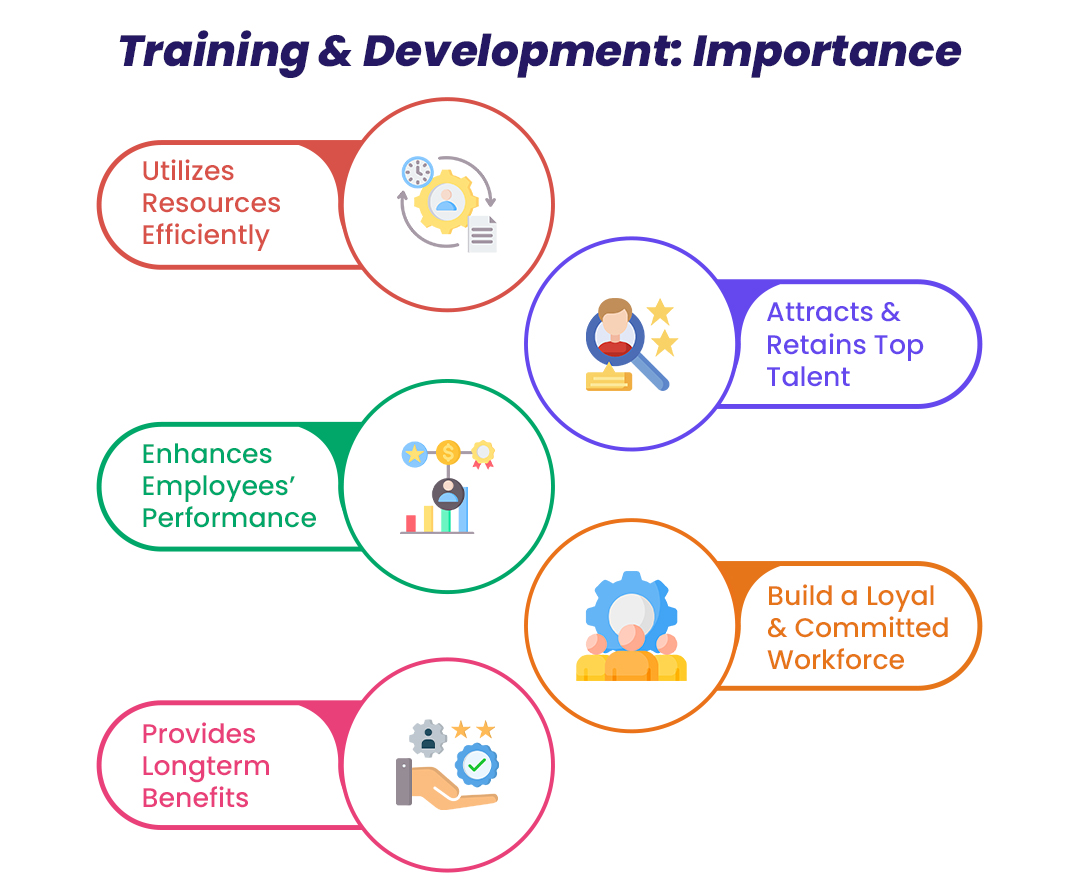 Training and Consulting infographics